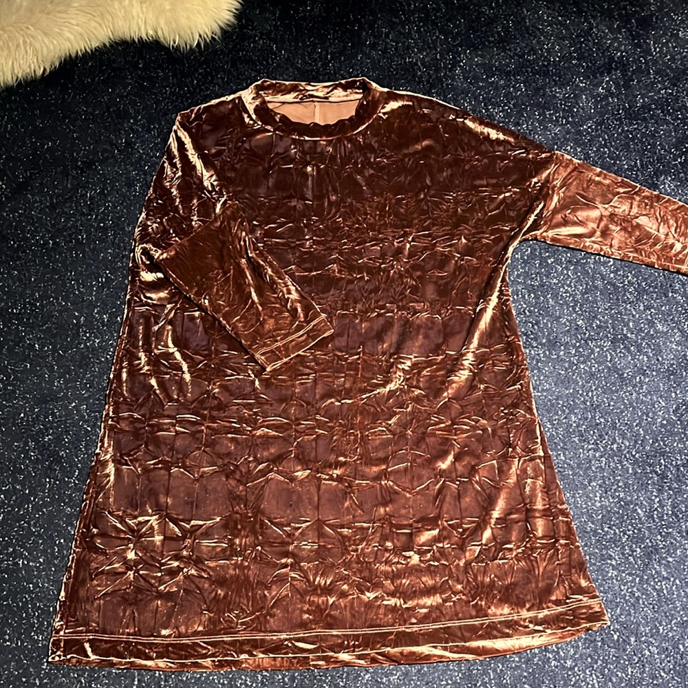 Zara Collection vintage rose crushed Velvet dress